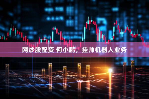 网炒股配资 何小鹏，挂帅机器人业务